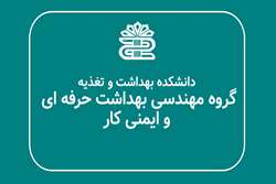 ششمین جلسه شورای آموزشی گروه مهندسی بهداشت حرفه ای و ایمنی محیط کار در نیم سال اول 1403-1402 برگزار گردید